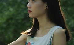 山东体育猛1打桩小蓝网站